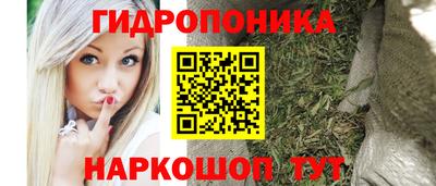 jwh Моздок