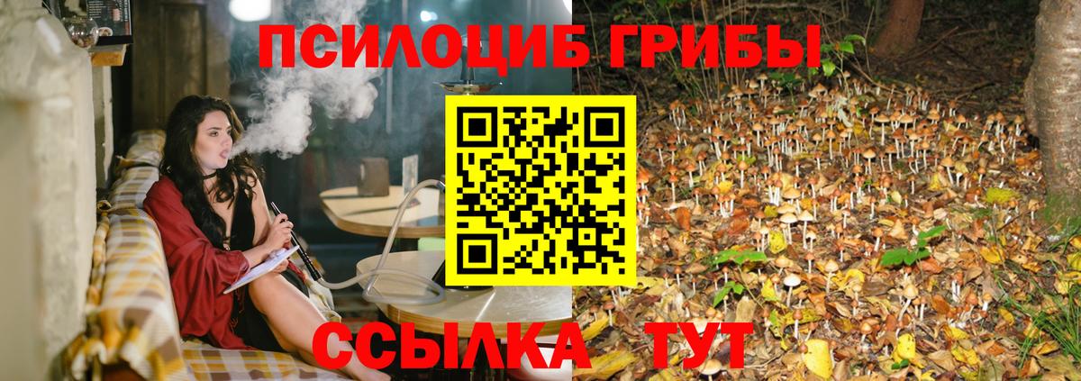 Галлюциногенные грибы Psilocybine cubensis  Вход с VPN  Истра 